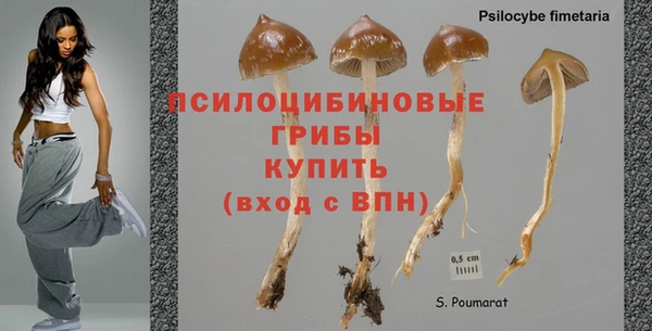 герыч Вязники