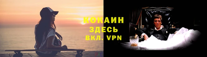 спиды Вязьма