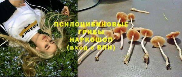 спиды Вязьма